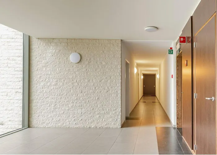 The Stalle * 布鲁塞尔