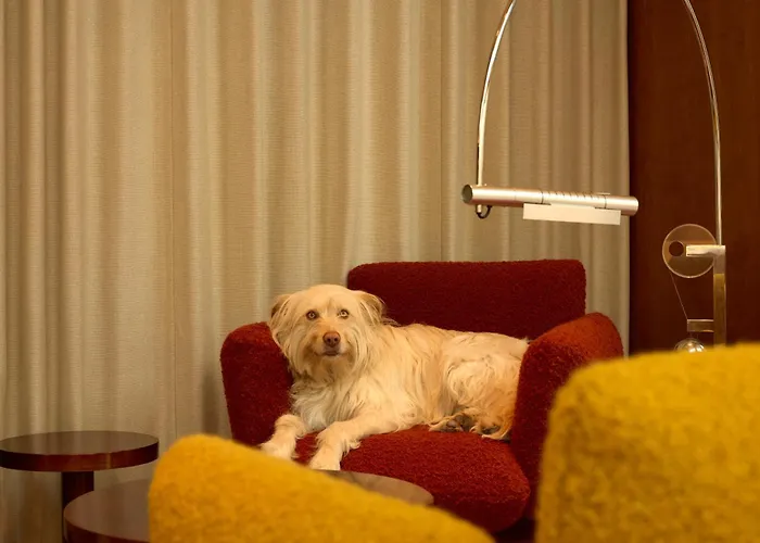 The Standard, Brussels