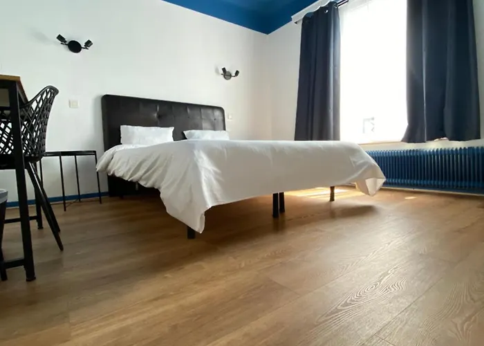 温莎酒店 2* 布鲁塞尔