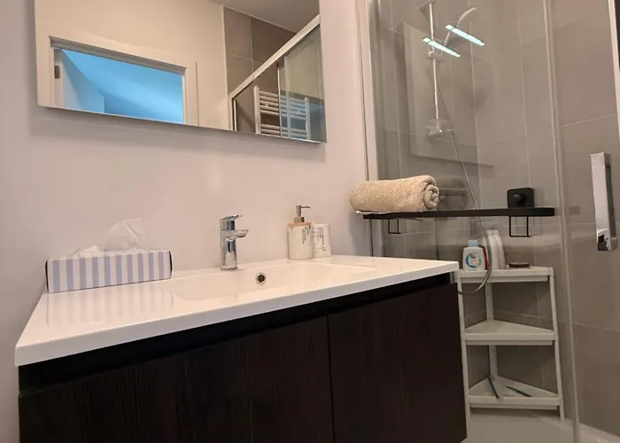 Sejour Lumineux Avec Balcon Bruxelles