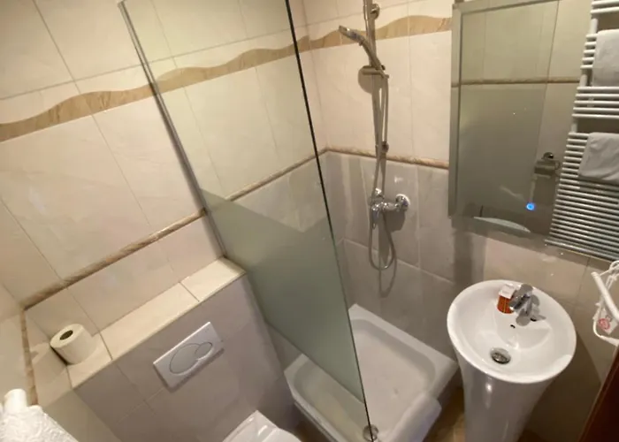 酒店 温莎酒店 布鲁塞尔