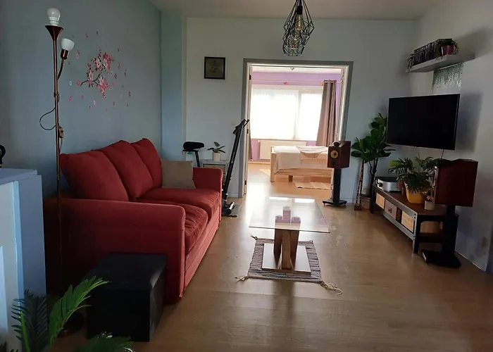 Apartment With Terrace In Berchem-sainte-agathe *