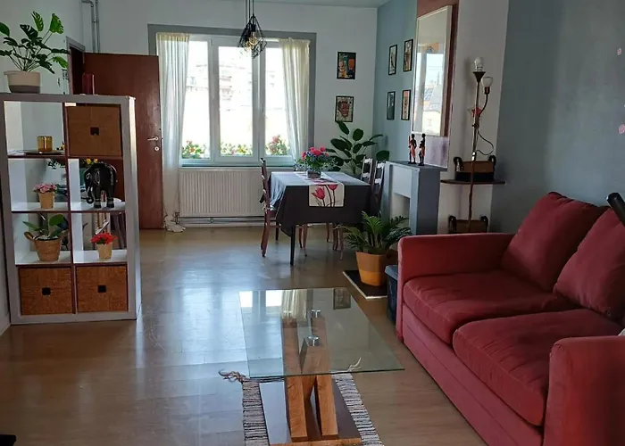 Apartment With Terrace In Berchem-sainte-agathe *