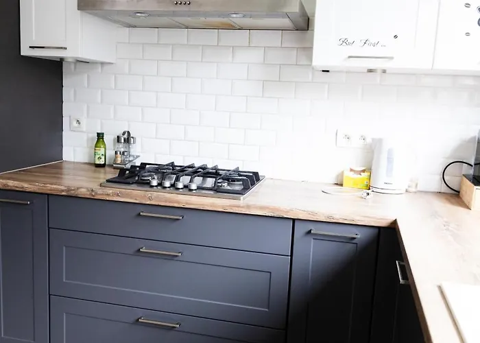 Avec Terrasse Privee Et Garage Rez De Chaussee Lumineux Brusel