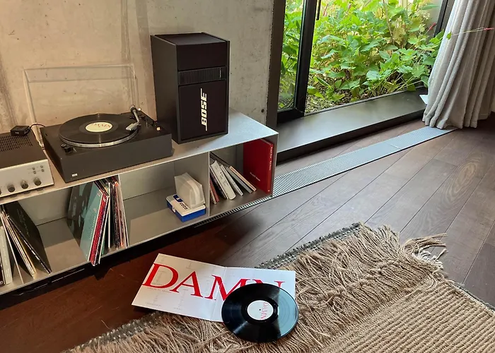 Teddy Picker Проживание в семье Брюссель