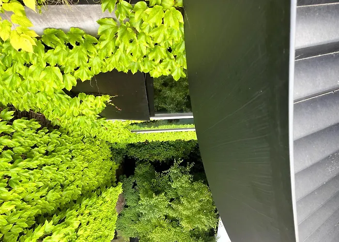 Teddy Picker Проживание в семье *