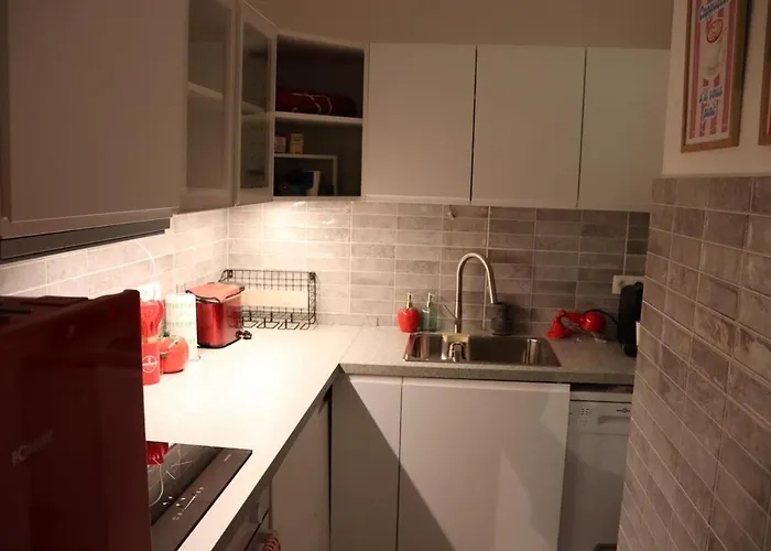 Sunflora * Брюссель