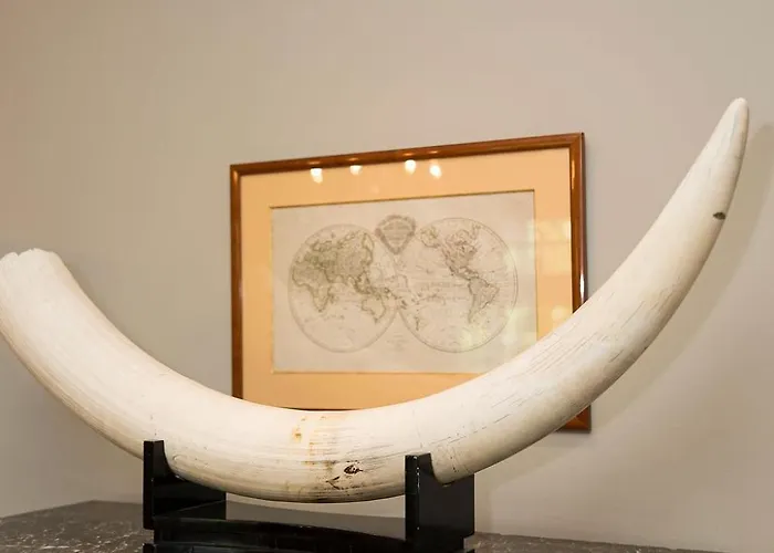 The Castle Villa Brüsszel