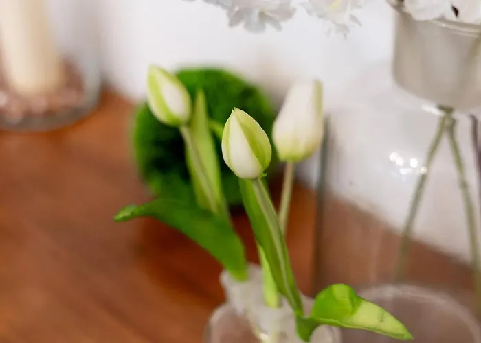 Jette - Base En Peripherie De - 15min Centre Lejlighed