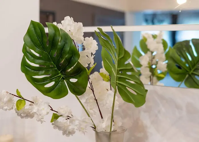 Jette - Base En Peripherie De - 15min Centre