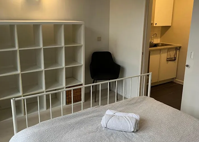 Flat Center Брюссель