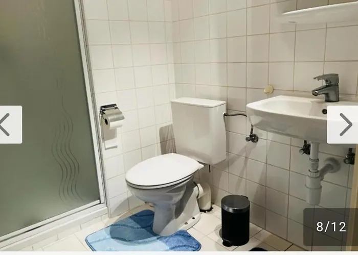 Botanical Garden Rogier * 布鲁塞尔