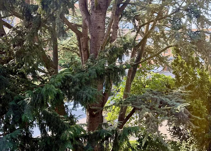 Atomium Canopy * Bruxelles