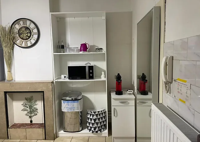 Jardin Ixelles * Bryssel