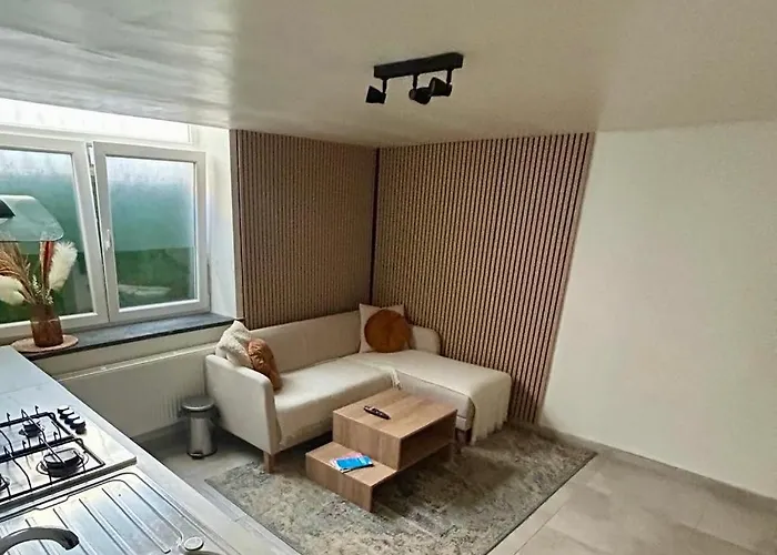 Le Longue Vie Apartment Brüssel