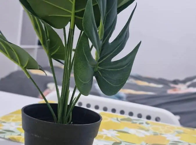 Cityspot 159 * Brüsszel