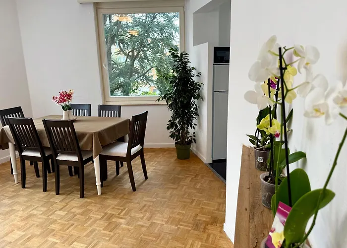 Atomium Canopy * Brüsszel