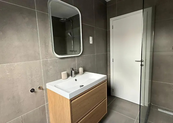 Appartement 3- Duplex Lumineux Au Coeur D'ixelles Brussel