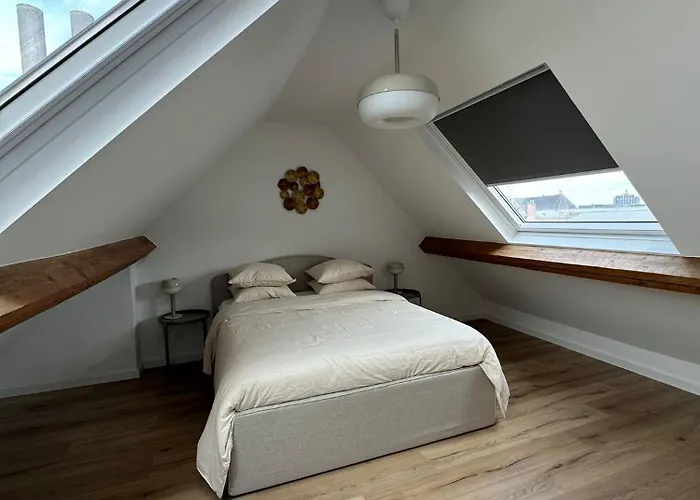 3- Duplex Lumineux Au Coeur D'ixelles Brussel