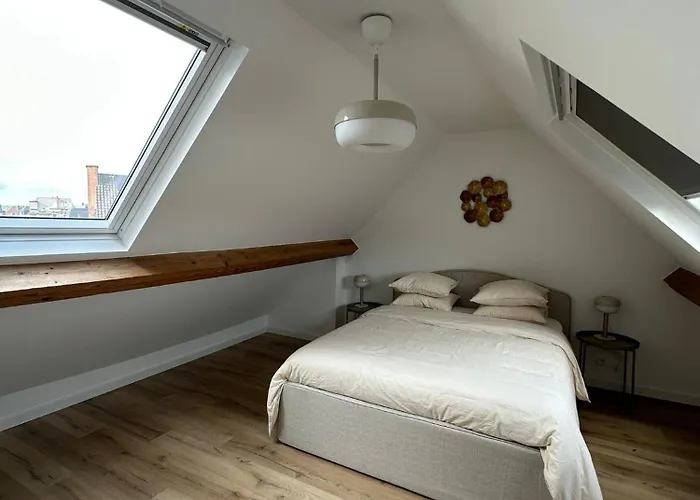 3- Duplex Lumineux Au Coeur D'ixelles *