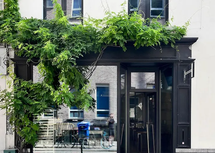 Teddy Picker Pansiyon Brüksel