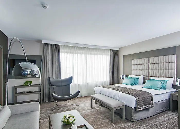 Agenda Louise Bruxelles