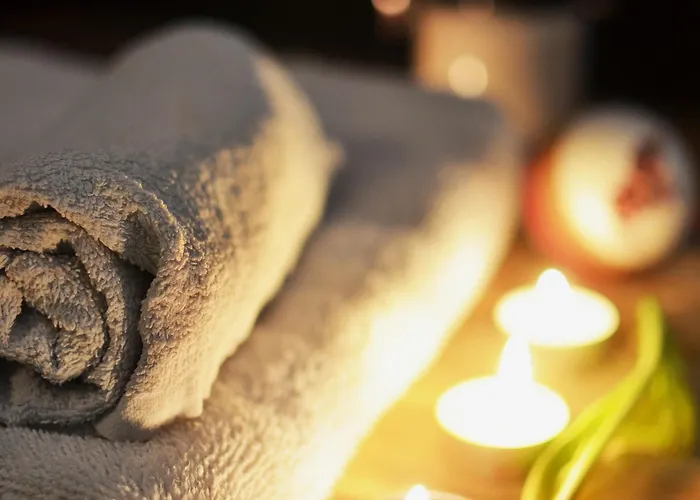 布鲁塞尔万怡酒店 4* 布鲁塞尔