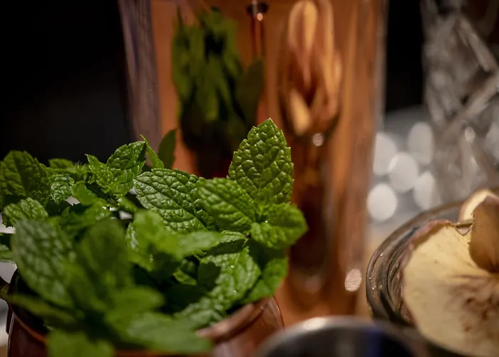 Hotel Pestana Schuman