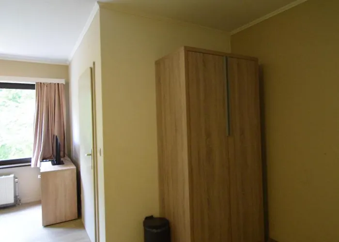 بدجيت بروكسل