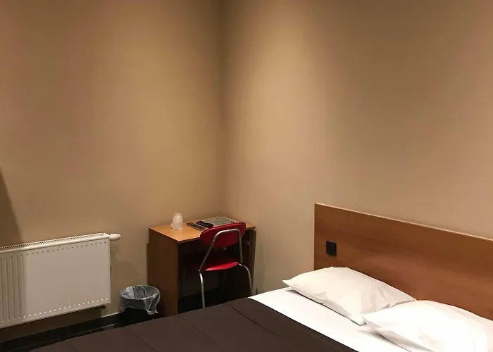 酒店 皇家酒店 布鲁塞尔