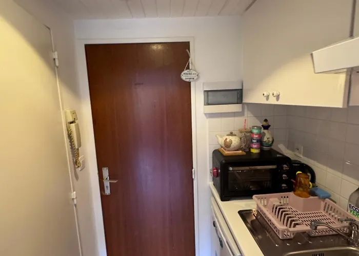 Blueberry * בריסל