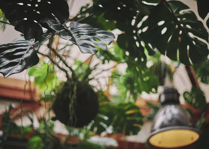 The Legacy By 2go4 Center Brussels