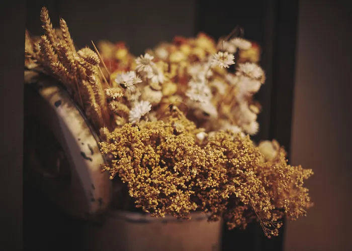 The Legacy By 2go4 Center * Bruselas