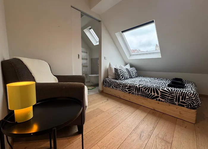 Appartement Downtown Spacious Design Duplex 3bedr