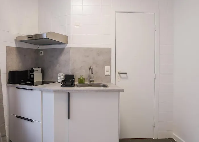 Cinquantenaire 1 Appartement *