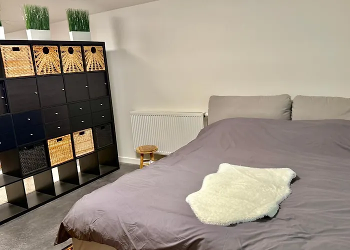 Apartment Spacious Bxl Loft
