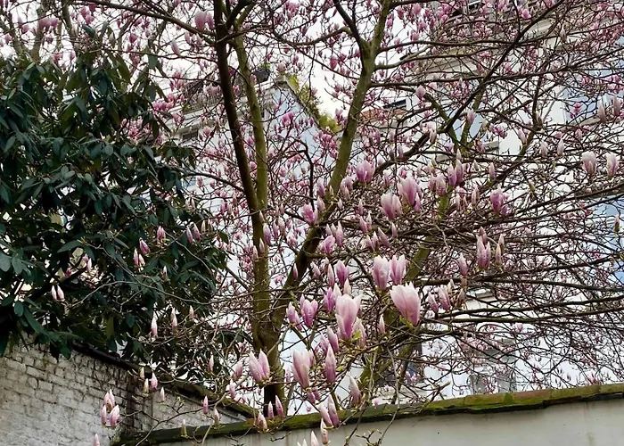 Cosy Eu - Central, Parking, Terrace Bruxelles