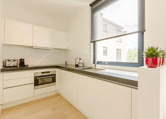 The Livorno * Brussels