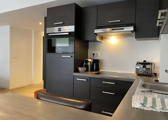 Flat Moliere Apartmán Brusel