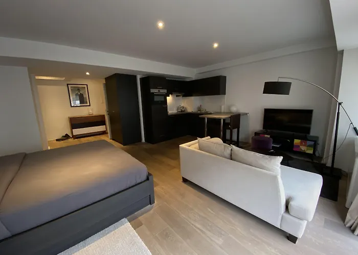 Apartmán Flat Moliere Brusel