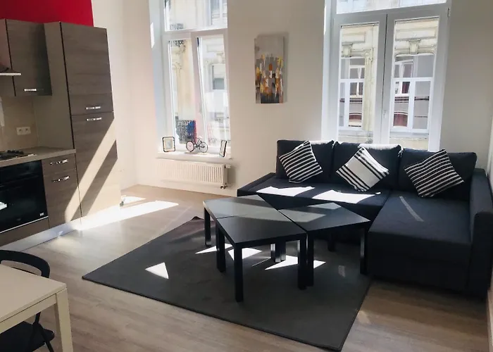 Appartments Luxury 公寓 布鲁塞尔