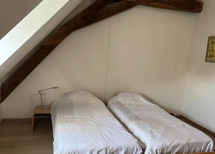 Oase In The Brüssel