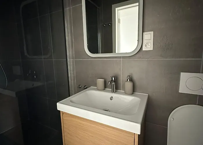 5- Nid Lumineux 2 Au Plein Coeur D'ixelles Διαμέρισμα