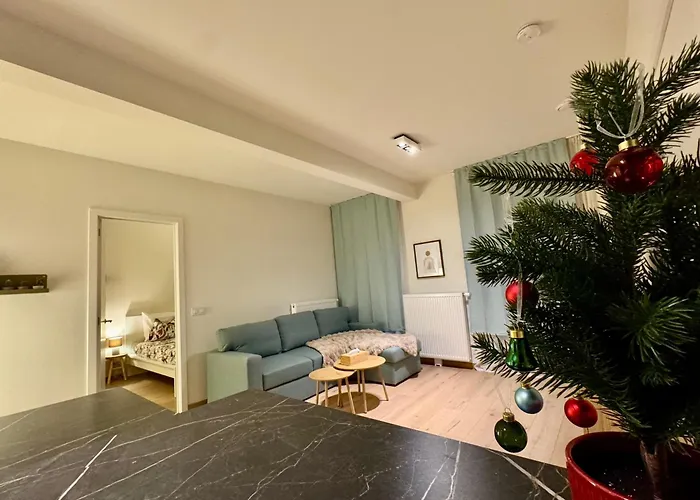 The Twin Apartment Brüssel