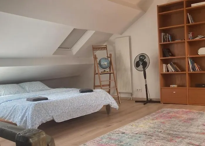 Big Cosy Family Duplex Near Grande Place Apartment *