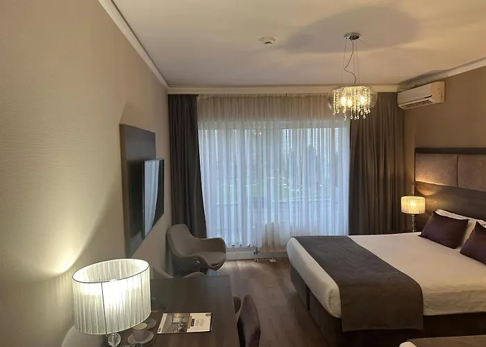 Agenda Louise Brüksel