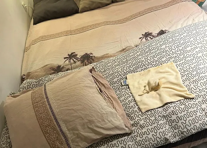 Homestay Belle De 1,30 Cm De Hauteur A Midi Brussels