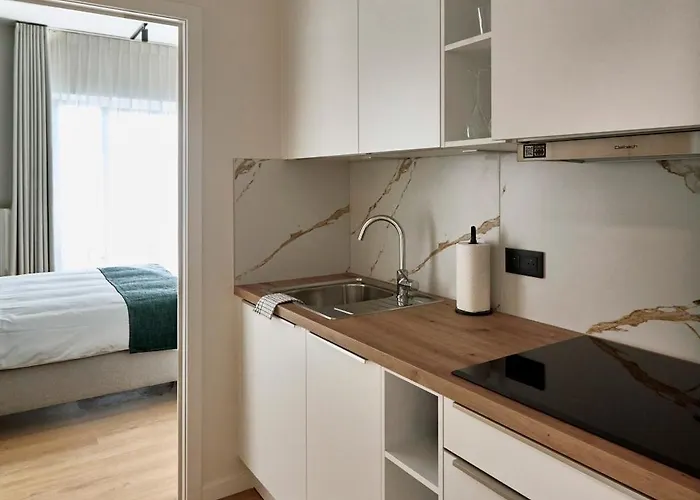 Georges Henri Bruksela