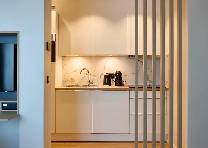 Georges Henri 브뤼셀