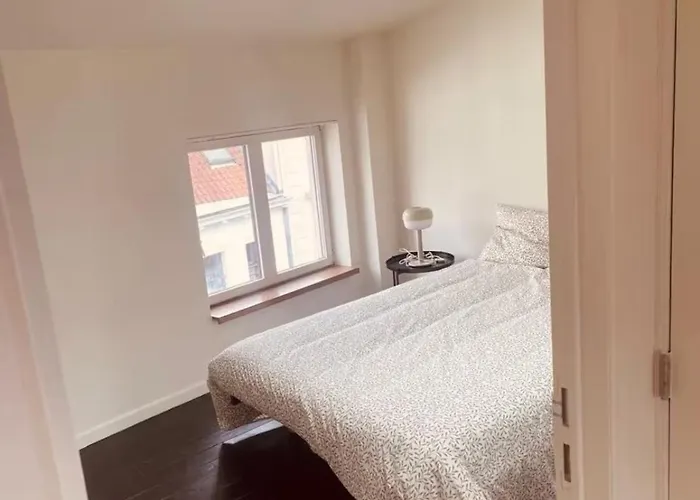 Spacious Terrace In The Heart Of Bruxelles